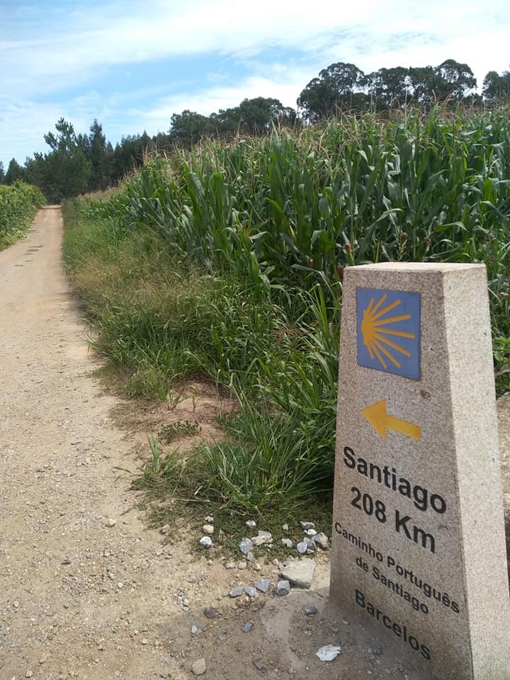 Camino Portugees