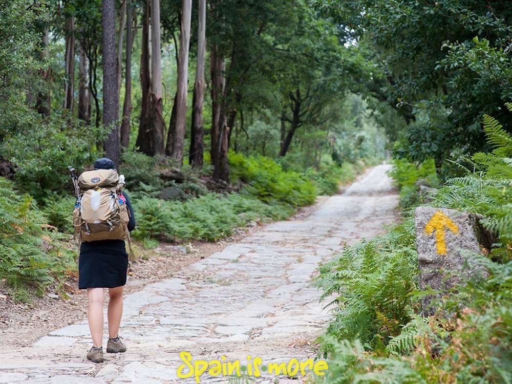 Vandring på Caminoen. Book din Caminovandring i dag med Spain is More og se frem til dit livs pilgrimsrejse.