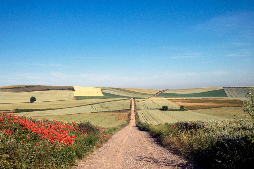 Har du bara en vecka på dig och vill gå Camino de Santiago Har du bara en vecka på dig och vill gå Camino de Santiago